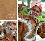 UU_Snake Charmer 400x436 q10.jpg